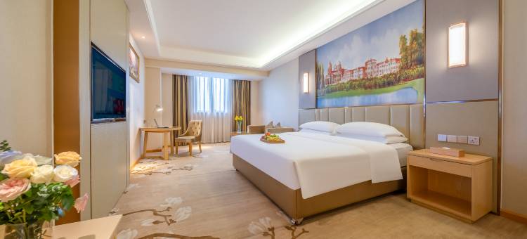 维也纳酒店(宾阳店)图片