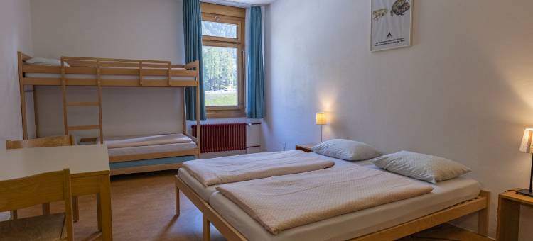 蓬特雷西纳青年旅馆(Pontresina Youth Hostel)图片