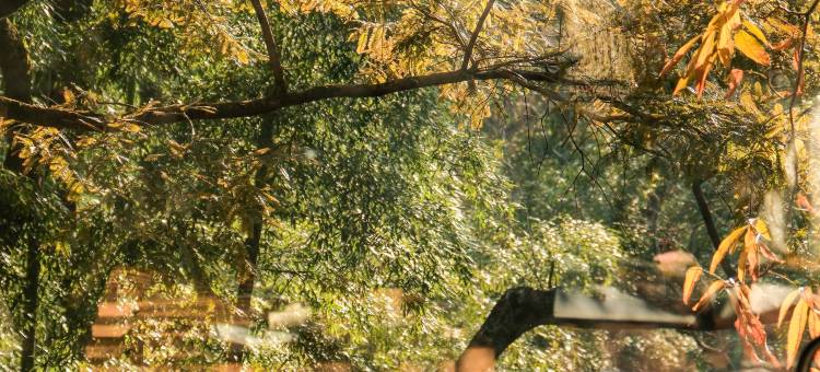 安吉Nook Nook诺克诺克民宿图片