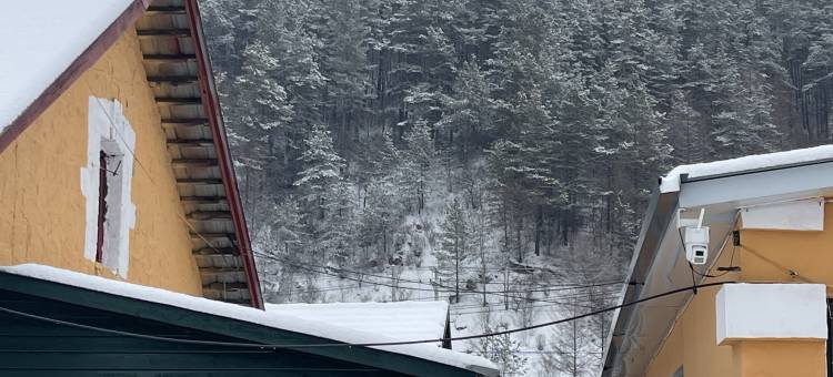 横道明九民宿(中东铁路博物馆店)图片