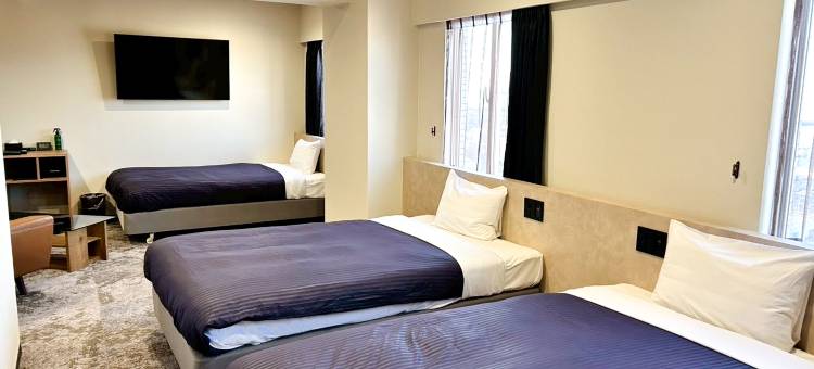 利夫马克斯经济型酒店-伊予三岛店(HOTEL LiVEMAX BUDGET Iyo Mishima)图片