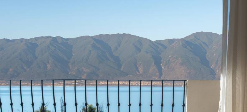 向野而生·荔墅(大理双廊洱海店)图片