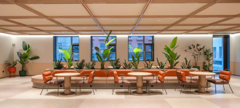 桔子酒店(张家口西苑北路店)图片