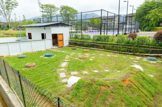 龙门南昆山居温泉度假村图片