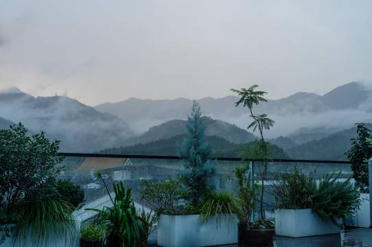 临溪别院丨LAGOM PATIO花园设计师酒店(南岳衡山景区南岳大庙店)图片