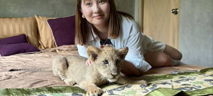 清迈狮子度假村&咖啡厅(Lion Cafe Resort)图片