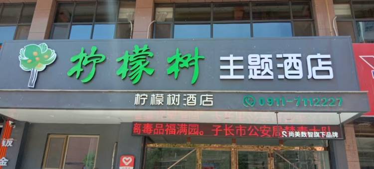 柠檬树主题酒店(延安子长店)图片