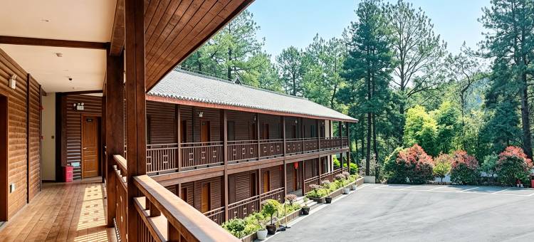 绿野仙踪森林民宿(安顺九龙山森林公园店)图片