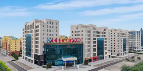 鄂爾多斯市烏審旗薩拉烏蘇大酒店(政務大廳店)