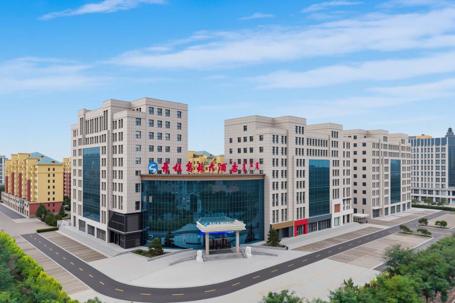 鄂爾多斯市烏審旗薩拉烏蘇大酒店(政務大廳店)