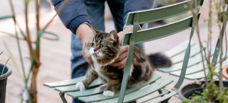 花筑·取景框花园民宿(大理古城店)图片