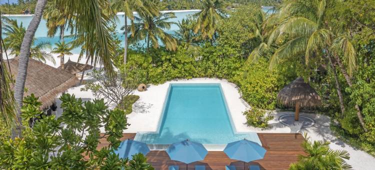 纳拉杜私人岛屿马尔代夫(Naladhu Private Island Maldives)图片