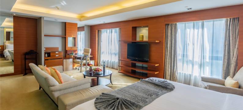 国际艺苑大酒店图片