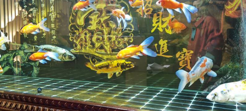 大同木兰客栈(代王府店)图片