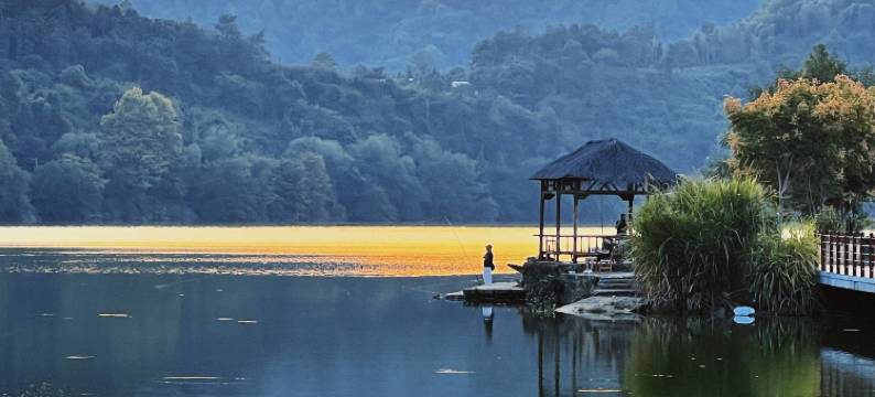 建德骆瑶成饭店图片