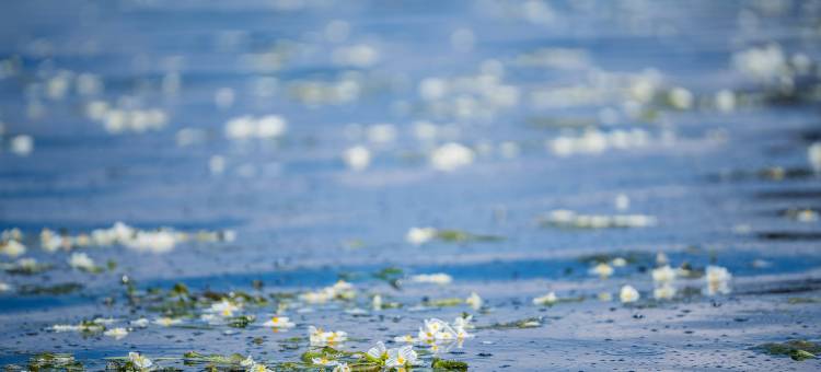 大理昕左舍·Travel花园海景秘境美宿(洱海才村码头店)图片