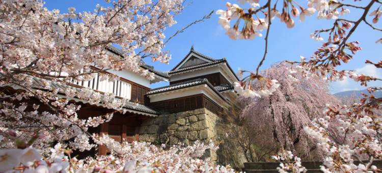 东横INN-上田站前(Toyoko Inn Ueda Ekimae)图片