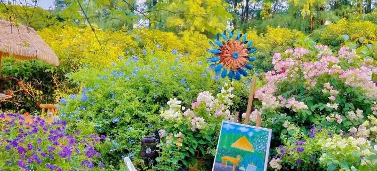 闫老师的小院.湖畔花园民宿(桂湖东西巷店)图片