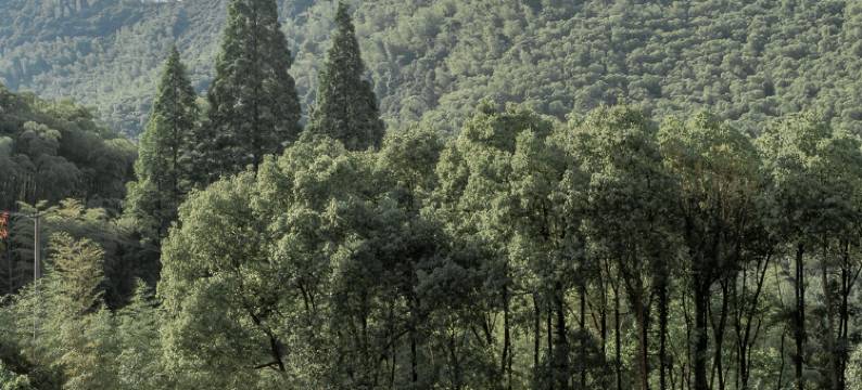 莫干山谧谷.壹所温泉美宿图片