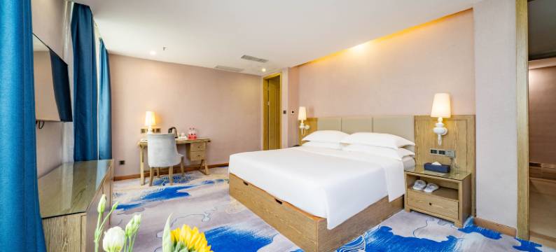 维也纳酒店(深圳北站壹城中心店)图片