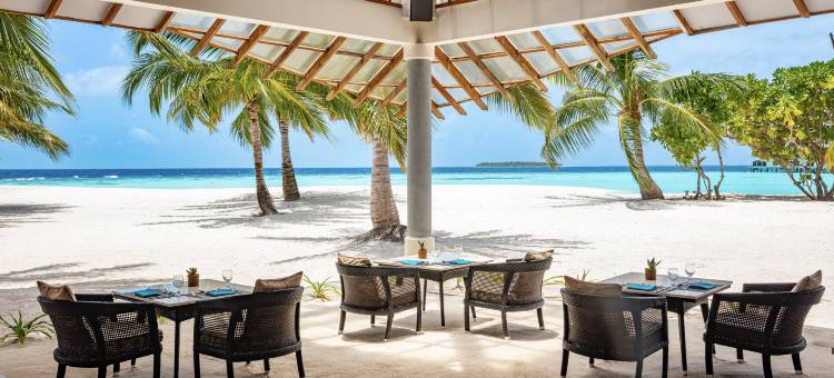 马尔代夫NH哈沃达度假村(NH Collection Maldives Havodda Resort)图片