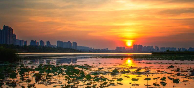 锦璨大酒店(长沙松雅湖吾悦广场星沙地铁站店)图片