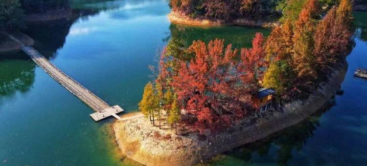 竹溪畔民宿(上犹店)图片