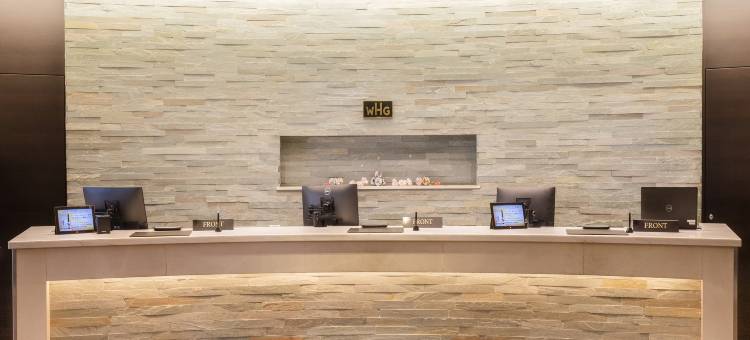 格拉斯丽银座酒店(Hotel Gracery Ginza)图片