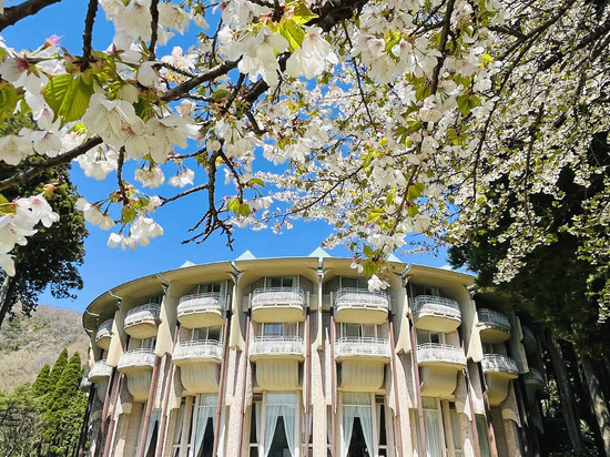 箱根芦之湖皇家王子大饭店