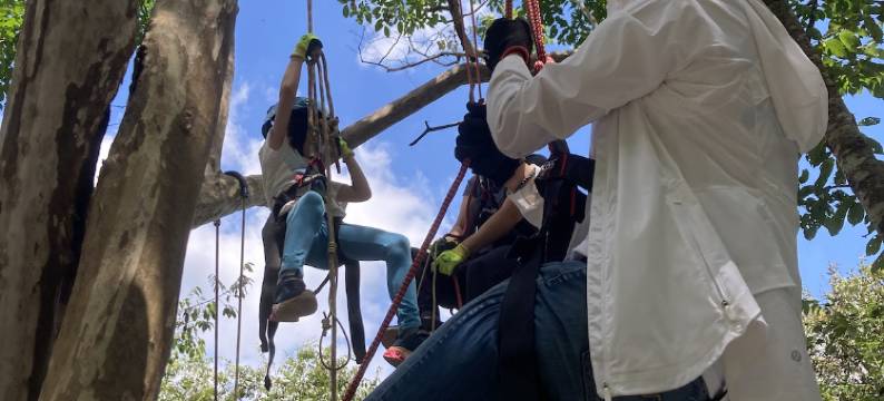 南投森之秘汤图片