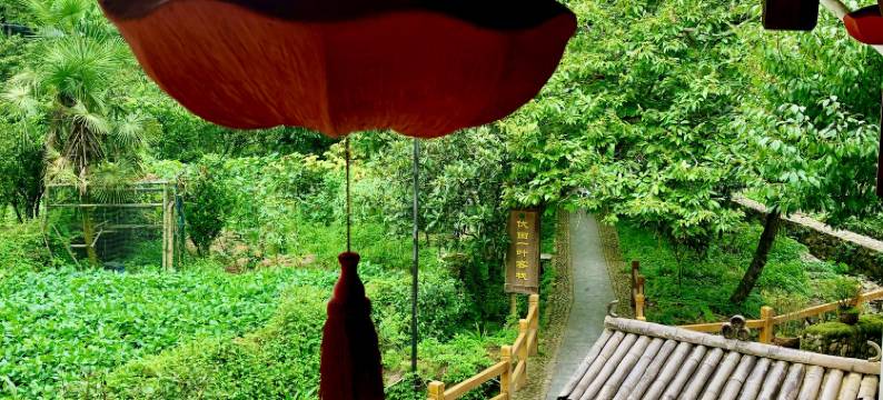 景宁伏源一叶客栈图片