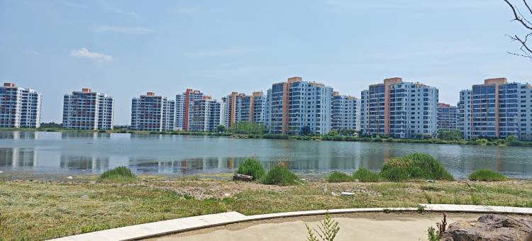 观海听澜·度假民宿(洲际假日广场店)图片