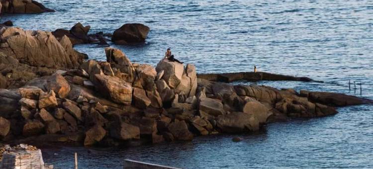 湄洲岛Mansion By the Bay南屿小舍·海景度假美宿(妈祖祖庙店)图片