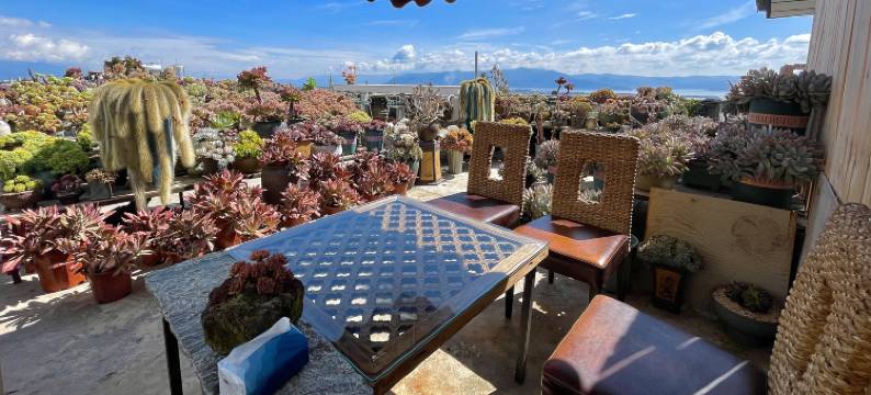 柒间山坊民宿(大理店)图片