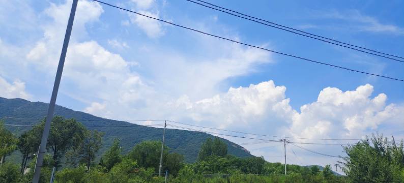 少林寺嵩情园快捷酒店图片