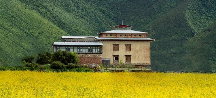 香格里拉农拉央匹生态庄园(纳帕海景区店)图片