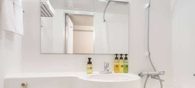 MYSTAYS饭田桥酒店(HOTEL MYSTAYS Iidabashi (Old name：Flexstay Inn Iidabashi))图片