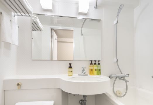 HOTEL MYSTAYS Iidabashi (Old name：Flexstay Inn Iidabashi) Hotel Overview