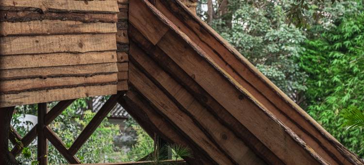 青丘· Tree House 森林氧吧度假民宿图片