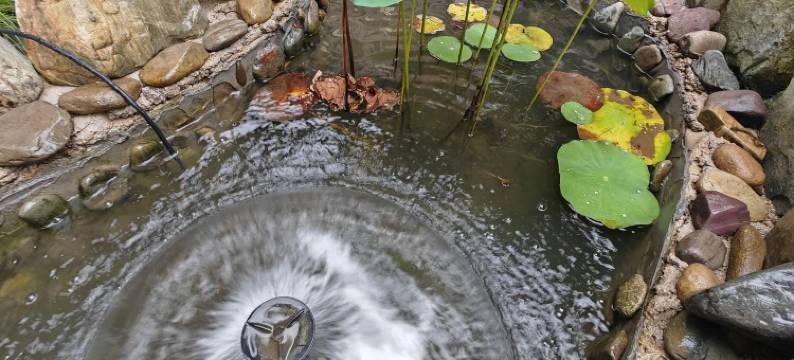 西递西福禄民宿图片