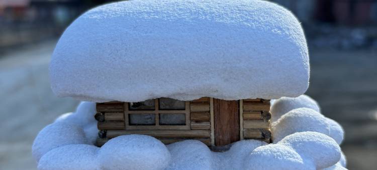 雪谷·瑞雪Snow·冬月绘漫旅行美宿(雪谷风景区店)图片