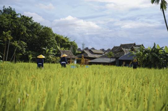 漫隐·稻香•Laos•亲子度假院墅(嘎洒机场店)图片