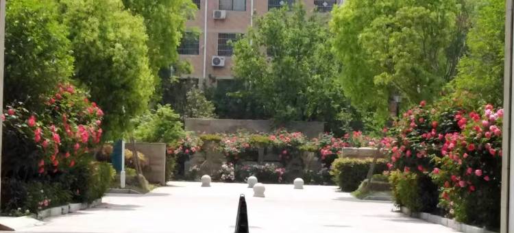 维也妠国际酒店(郸城交通路店)图片