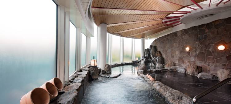 福冈海鹰希尔顿酒店(Hilton Fukuoka Sea Hawk)图片