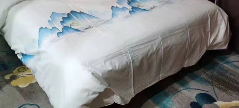 嘉峪关中途大酒店图片