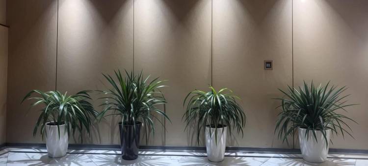 优行酒店(灌南县政府店)图片