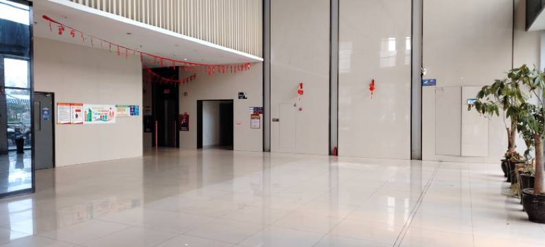 平阳向日葵民宿图片