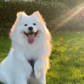 Gooie Villa 古逸园民宿(太湖西山岛风景区店)图片