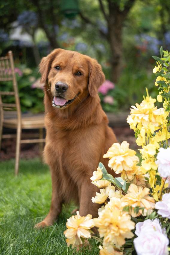 昆明滇池(古滇)皇冠假日酒店图片