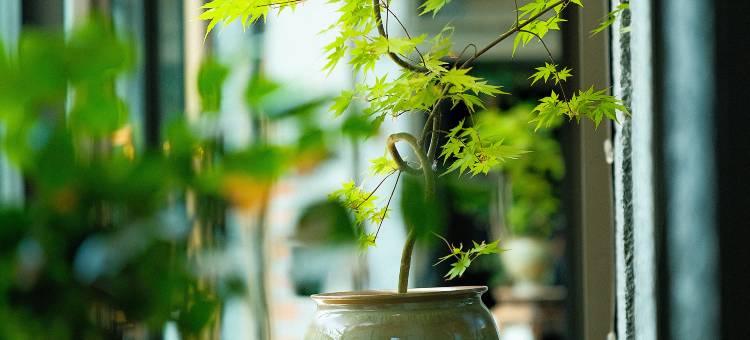 花筑奢·北京潇界青庐酒店图片